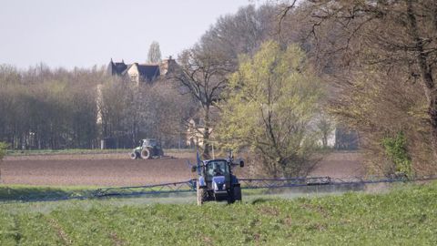 Dans le rapport sur l’évaluation du plan de sortie du glyphosate qui a fuité ce week-end, les députés demandent au gouvernement de préciser rapidement la liste des cultures qui bénéficieront d’une dérogation. © C. Watier Dans le rapport sur l’évaluation du plan de sortie du glyphosate qui a fuité ce week-end, les députés demandent au gouvernement de préciser rapidement la liste des cultures qui bénéficieront d’une dérogation. © C. Watier