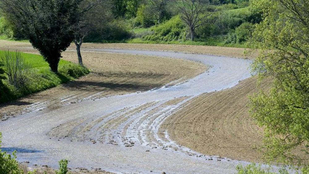 © Jean-Michel Nossant