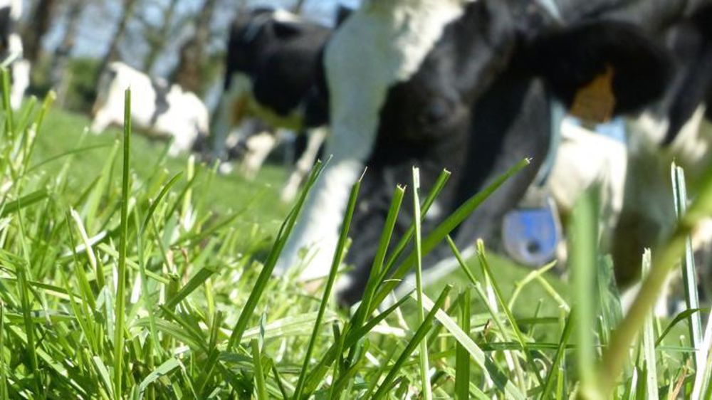 © Hélène Chaligne/GFA