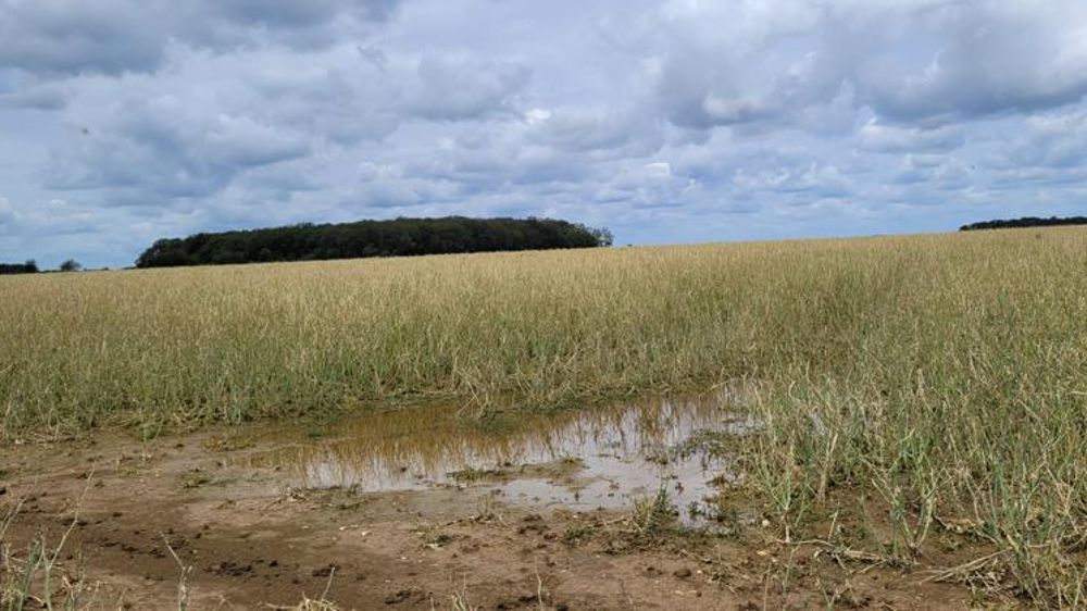L’état de catastrophe naturelle est déclaré dans 19 départements à la suite des inondations et coulées de boue survenues entre le 3 et le 5 juin 2022. © M.-A. Batut