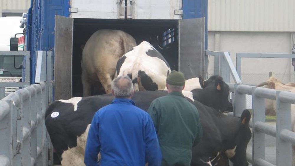 © Éric Roussel/GFA