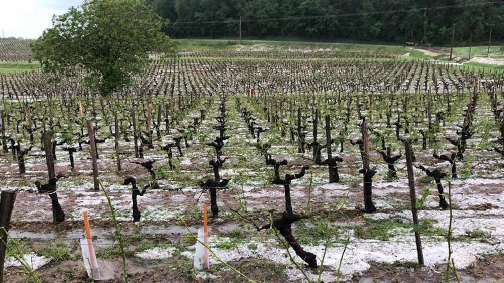 © Facebook/Château Gravettes-Samonac