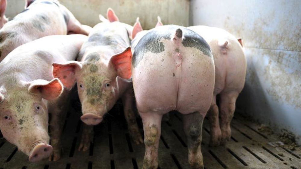 © Jean-Michel Nossant