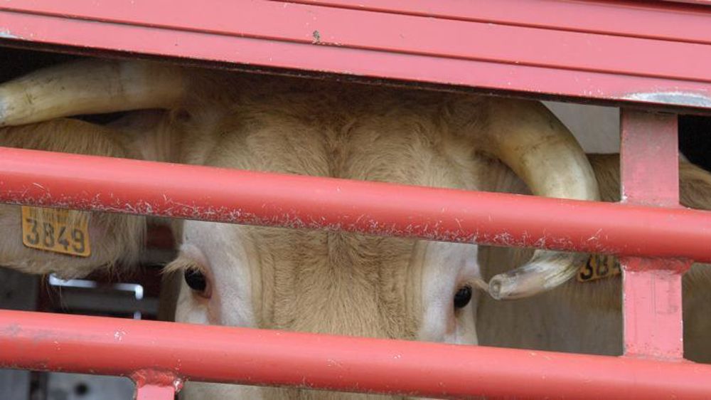 © Stéphane Leitenberger