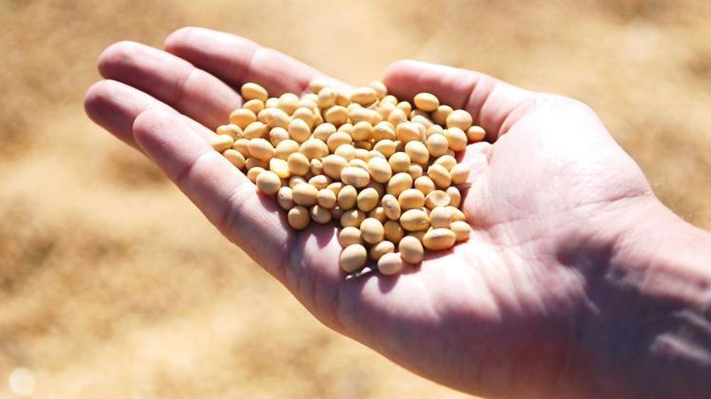 Dans leur lutte contre les OGM, les Faucheurs volontaires visaient les installations du groupe Bunge, importateur de soja sur le port de Brest. (Photo d’illustration) © Pixabay