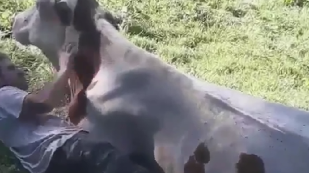 Joliette est fatiguée elle aussi. © AgriVercors