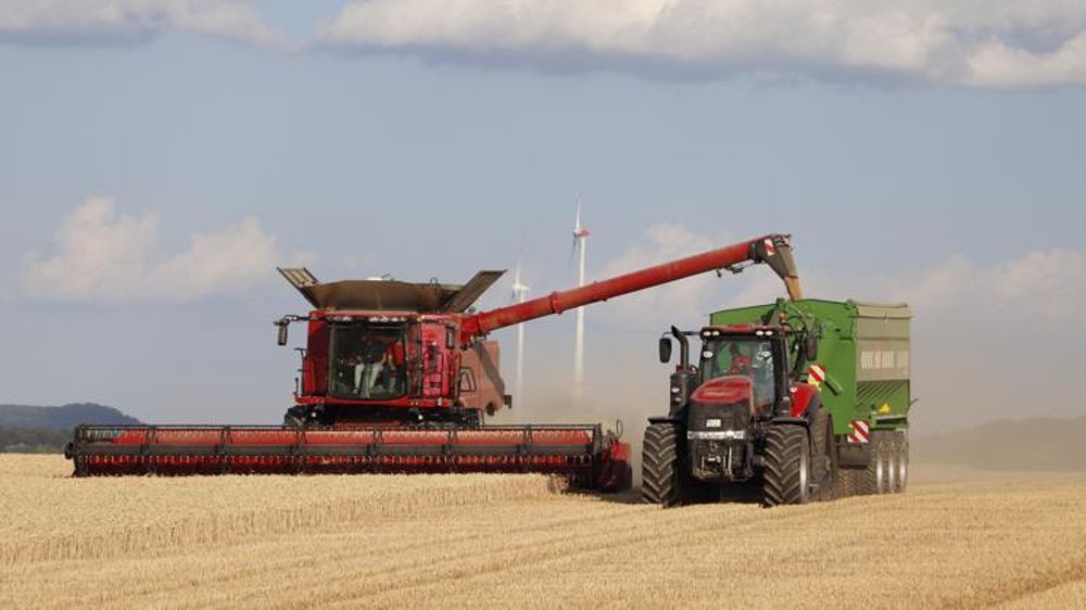 La Rabobank estime que les prix mondiaux des céréales seront stables en 2020. © V. Gobert/GFA