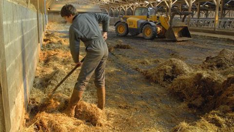 Le dispositif Tesa + permettra de déclarer les apprentis en 2020. © Stéphane Leitenberger/GFA Le dispositif Tesa + permettra de déclarer les apprentis en 2020. © Stéphane Leitenberger/GFA