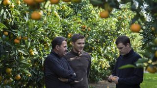 La famille Marcadel dans un de ses vergers, de gauche à droite, Jean-Georges, Anthony et Vincent. © Vincent Marcadal La famille Marcadel dans un de ses vergers, de gauche à droite, Jean-Georges, Anthony et Vincent. © Vincent Marcadal