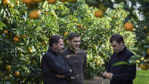 La famille Marcadel dans un de ses vergers, de gauche à droite, Jean-Georges, Anthony et Vincent. © Vincent Marcadal La famille Marcadel dans un de ses vergers, de gauche à droite, Jean-Georges, Anthony et Vincent. © Vincent Marcadal