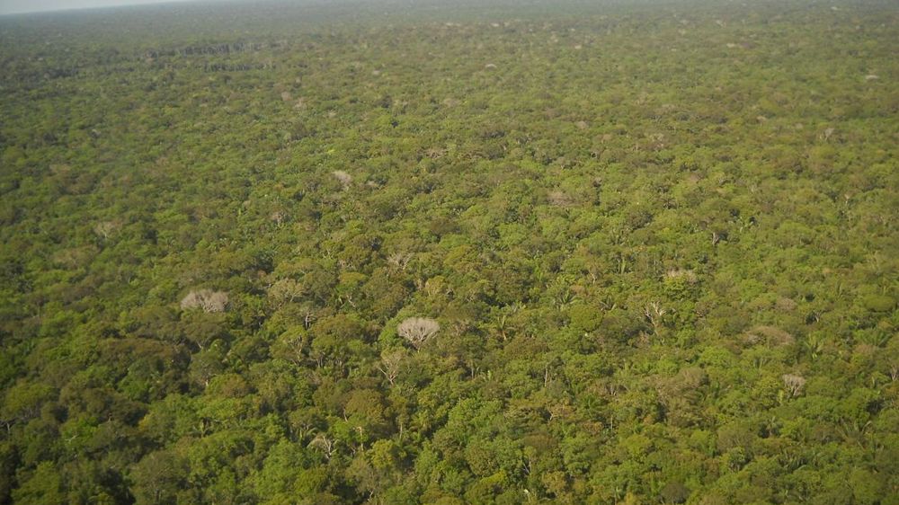 Une partie des parlementaires européens rejettent l’accord de libre-échange avec les pays du Mercosur qui, selon eux, ne respectent pas leurs engagements, notamment le Brésil, en matière environnementale. En photo la forêt amazonienne qui subit une importante déforestation depuis l’arrivée au pouvoir du président Jaïr Bolsonaro. © Pixabay