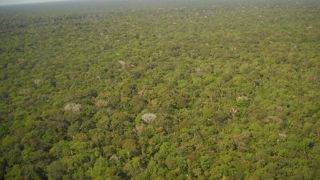 Une partie des parlementaires européens rejettent l’accord de libre-échange avec les pays du Mercosur qui, selon eux, ne respectent pas leurs engagements, notamment le Brésil, en matière environnementale. En photo la forêt amazonienne qui subit une importante déforestation depuis l’arrivée au pouvoir du président Jaïr Bolsonaro. © Pixabay Une partie des parlementaires européens rejettent l’accord de libre-échange avec les pays du Mercosur qui, selon eux, ne respectent pas leurs engagements, notamment le Brésil, en matière environnementale. En photo la forêt amazonienne qui subit une importante déforestation depuis l’arrivée au pouvoir du président Jaïr Bolsonaro. © Pixabay