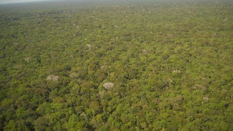 Une partie des parlementaires européens rejettent l’accord de libre-échange avec les pays du Mercosur qui, selon eux, ne respectent pas leurs engagements, notamment le Brésil, en matière environnementale. En photo la forêt amazonienne qui subit une importante déforestation depuis l’arrivée au pouvoir du président Jaïr Bolsonaro. © Pixabay Une partie des parlementaires européens rejettent l’accord de libre-échange avec les pays du Mercosur qui, selon eux, ne respectent pas leurs engagements, notamment le Brésil, en matière environnementale. En photo la forêt amazonienne qui subit une importante déforestation depuis l’arrivée au pouvoir du président Jaïr Bolsonaro. © Pixabay