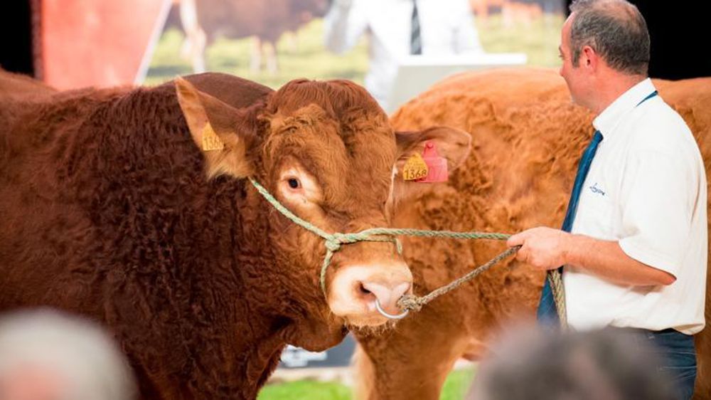 © Jérôme Chabanne