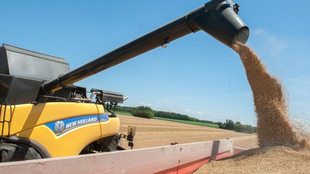 © Jean-Michel Nossant