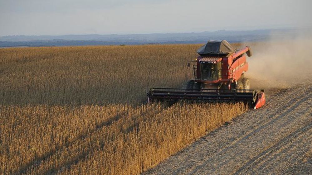 Récolte de soja au Brésil. © charlesricardo/Pixabay