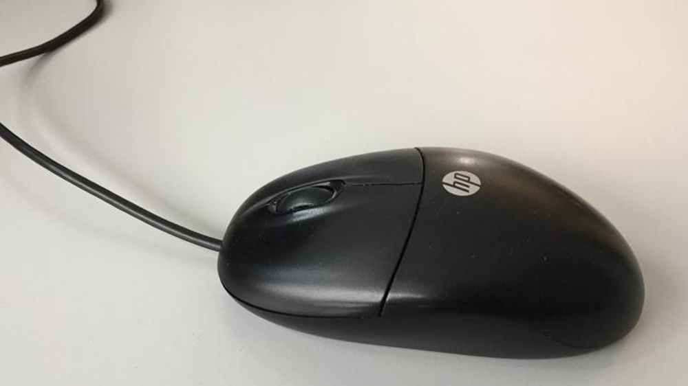 Les instruments nécessaires au vote électronique seront transmis au plus tard le dernier jour de scrutin (31 janvier 2019). © A. Cardinaux/GFA