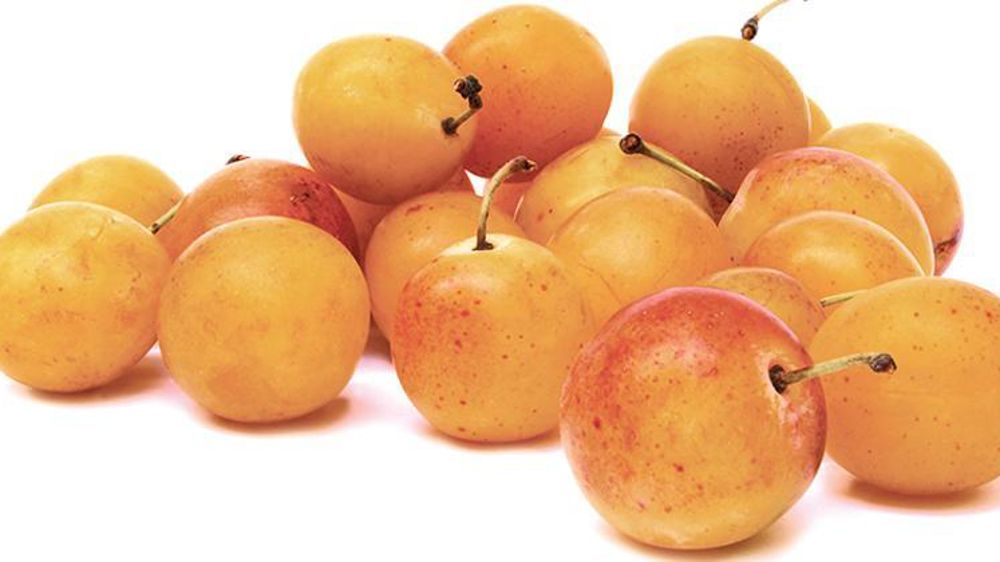 © Interfel/P. Dufour