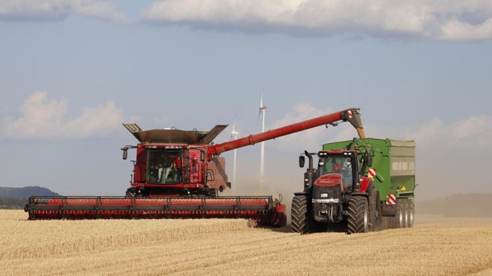 La récolte allemande de blé devrait perdre 6 millions de tonnes par rapport à 2017. © V. Gobert / GFA