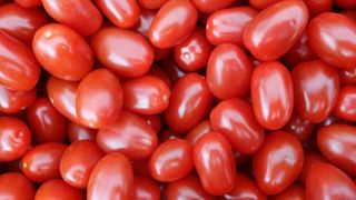 Les prix des tomates dans les magasins atteignent trois à quatre fois le prix producteur ©Pxhere Les prix des tomates dans les magasins atteignent trois à quatre fois le prix producteur ©Pxhere