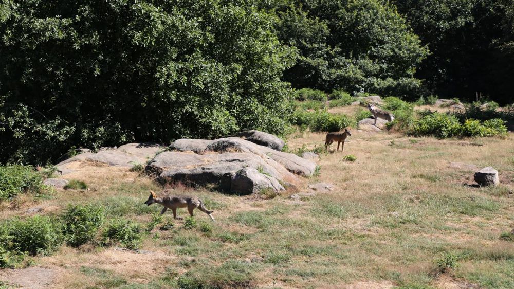 © M.-F. Malterre/GFA