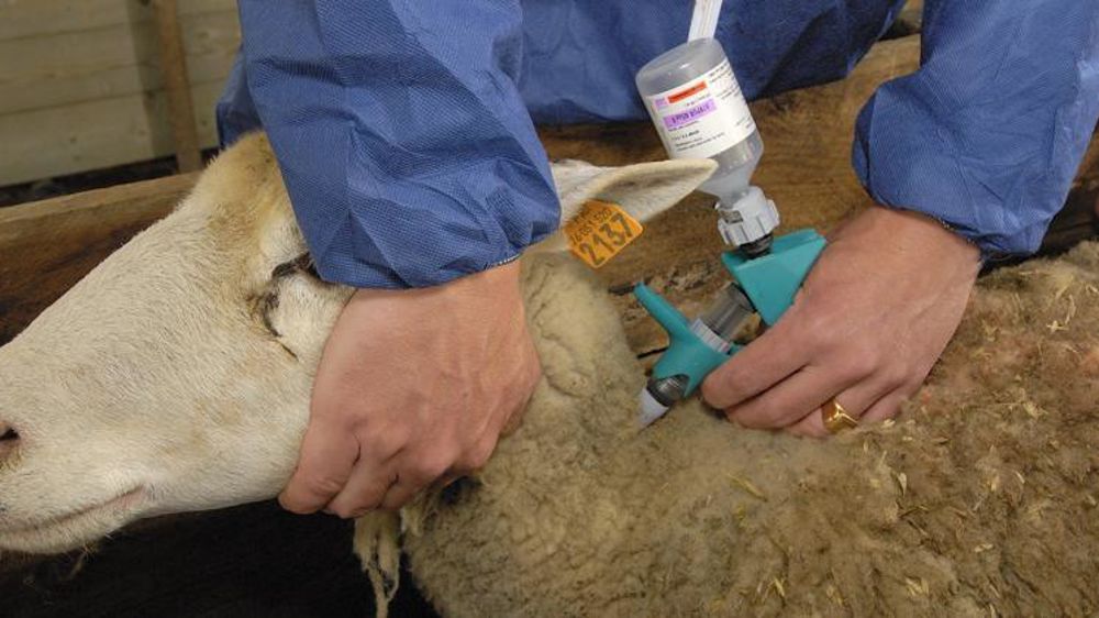 © Stéphane Leitenberger