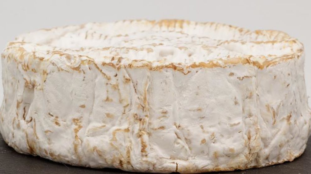 © Coyau/Wikimedia Commons