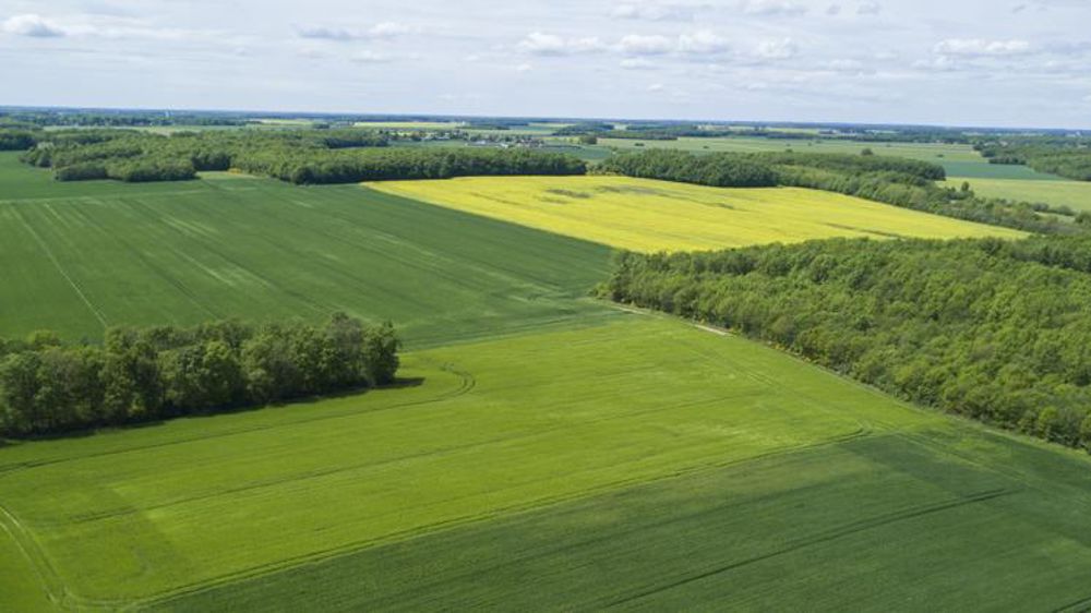 © Cédric Faimali/GFA