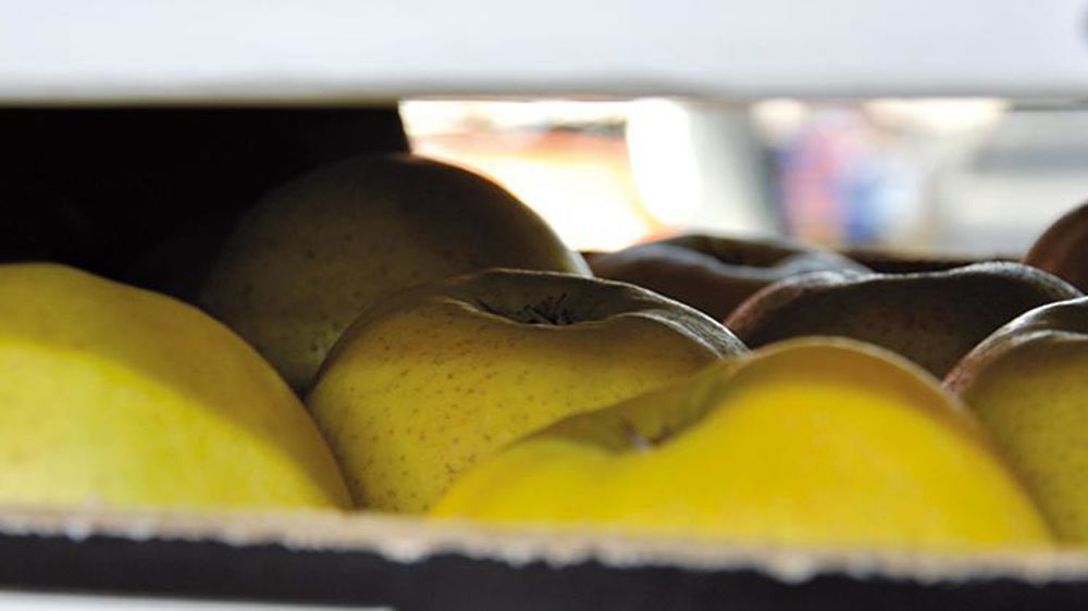 © Interfel/P. Dufour