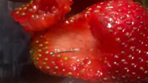 Des aiguilles ont été retrouvées dans les fraises en Australie, l’enquête est toujours en cours. © Facebook/J. Gane. Des aiguilles ont été retrouvées dans les fraises en Australie, l’enquête est toujours en cours. © Facebook/J. Gane.