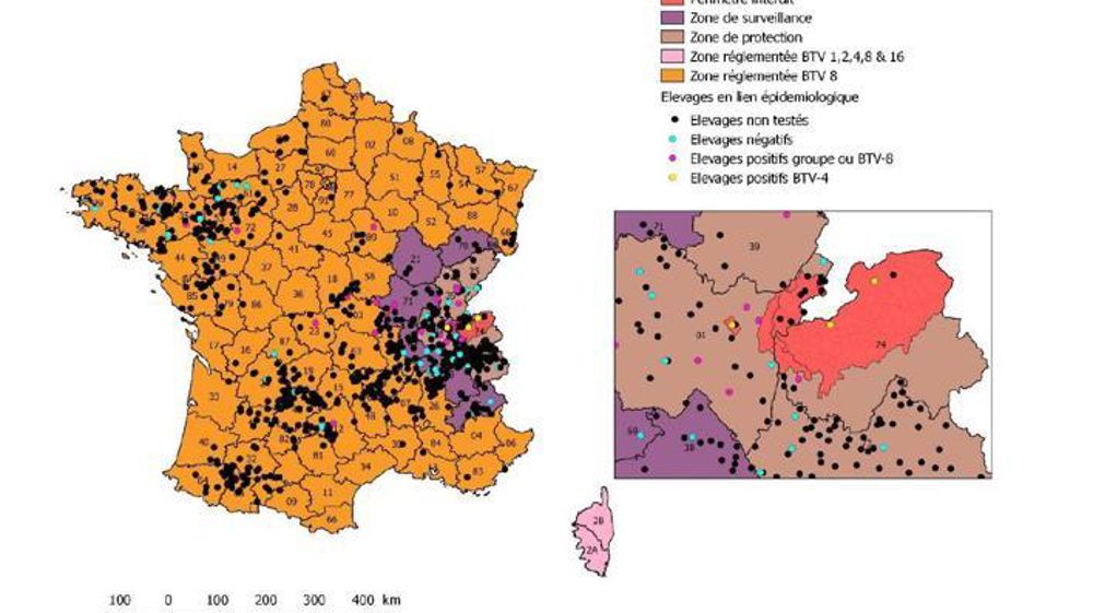 Chaque point correspond à un élevage en lien épidémiologique avec le périmètre interdit ou la Corse.