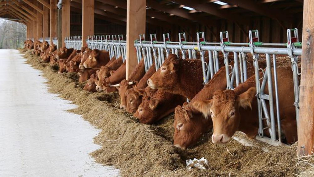 © M.-F. Malterre/GFA