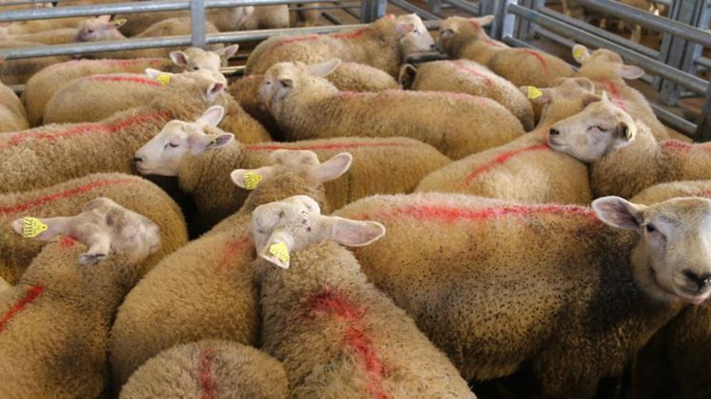 © M.-F. Malterre/GFA