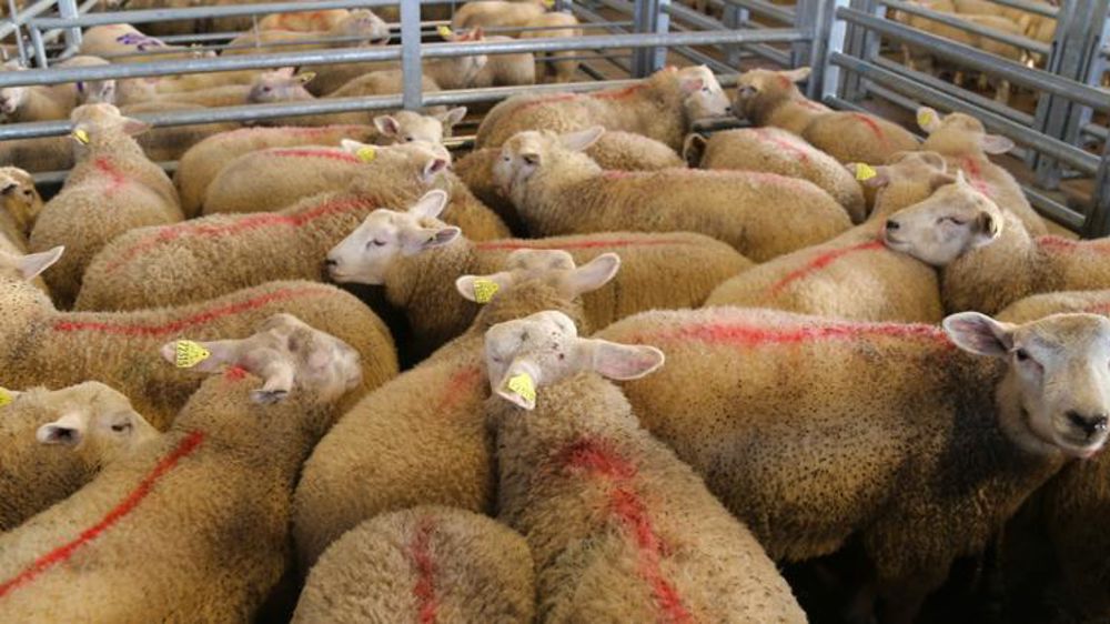 © M.-F. Malterre/GFA