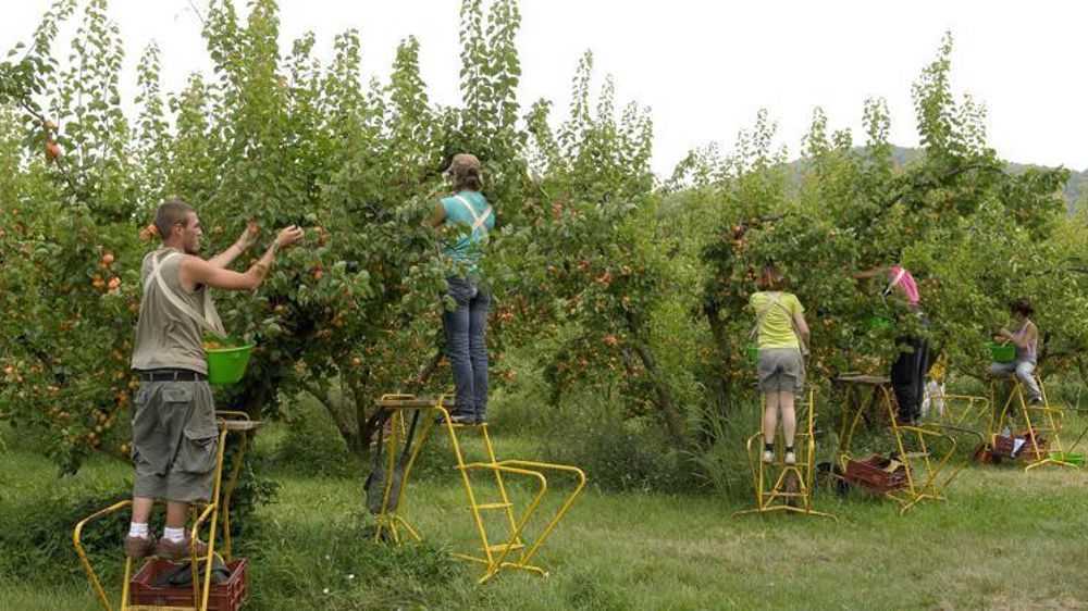 © Stéphane Leitenberger