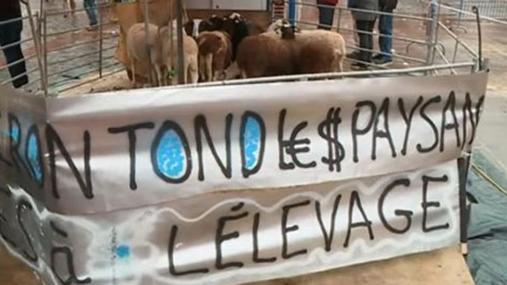 Capture vidéo. © Fance 3