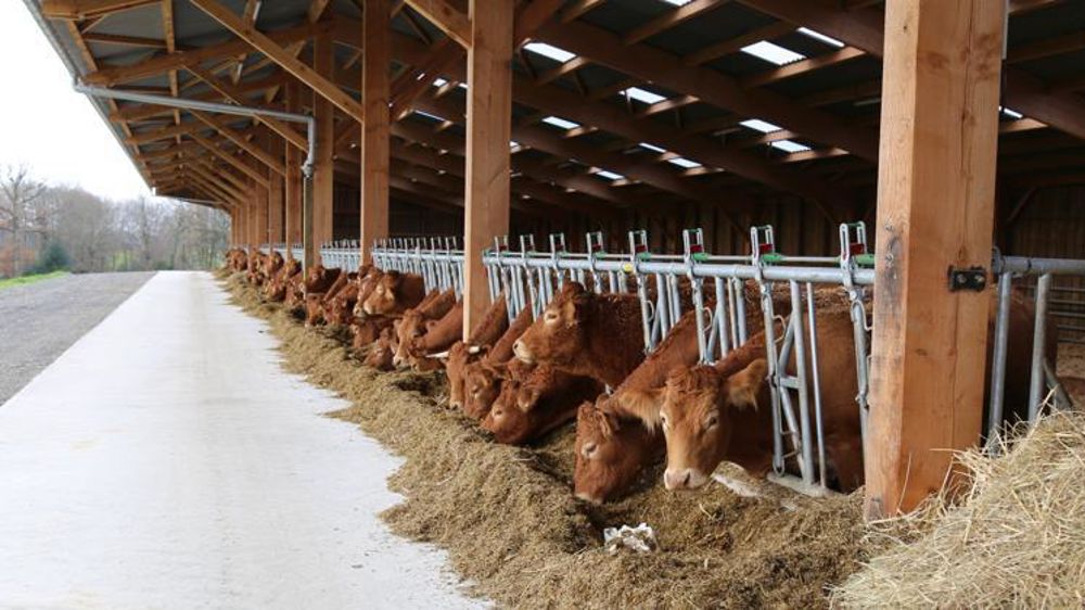 © M.-F. Malterre/GFA