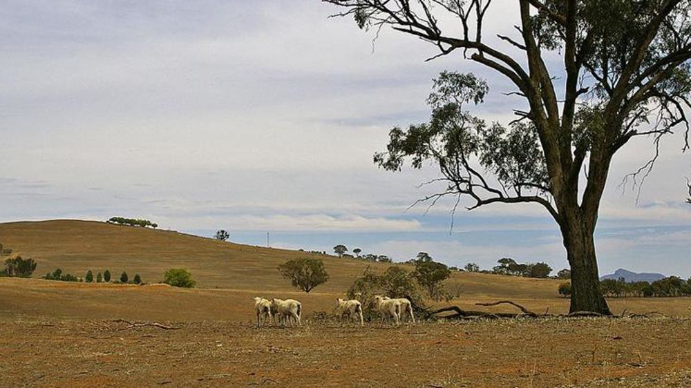 Le gouvernement australien annonce la  constitution d’un fonds de 2,4 milliards d’euros pour lutter contre la sécheresse. © Wikipedia