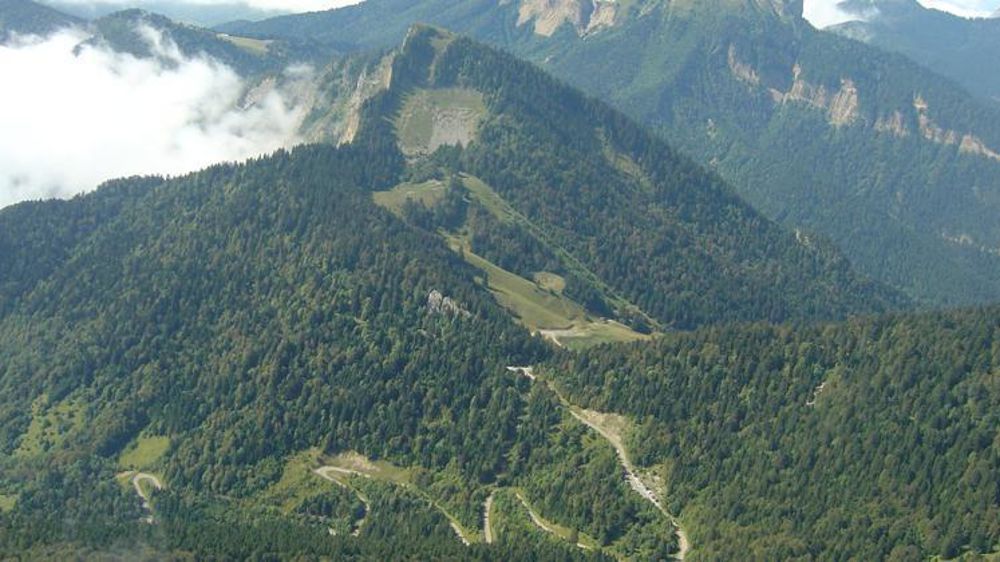 Le bois de Chartreuse est désormais protégé par une AOC, appellation d’origine contrôlée, une première pour la filière en France. © Wikipédia / Anthospace