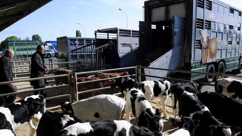 © Jean-Michel Nossant