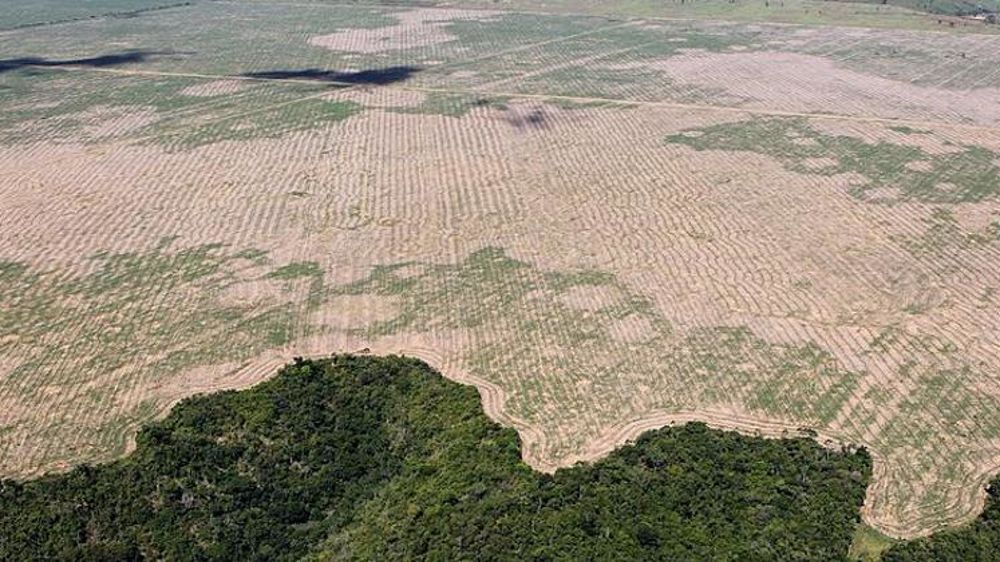 Déforestation au Brésil. © Wikipedia