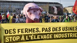 300 personnes dans les rues de Pau pour dénoncer le projet de ferme d’Escoubès. © Guénolé Le Gal/Greenpeace 300 personnes dans les rues de Pau pour dénoncer le projet de ferme d’Escoubès. © Guénolé Le Gal/Greenpeace
