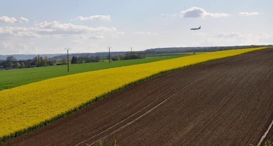 Colza biocarburant avion