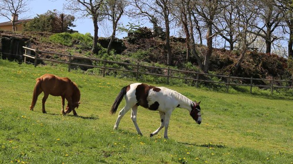 © M.-F. Malterre/GFA