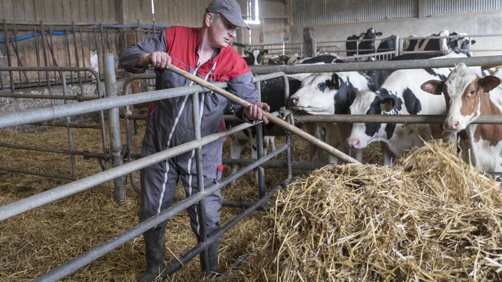 © Éric Bénard/Commande