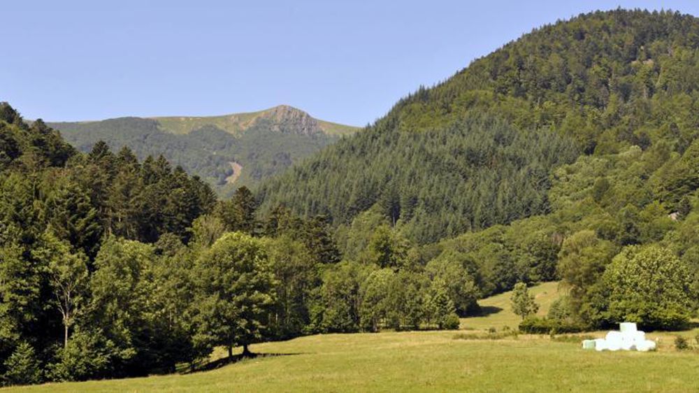 © Cédric Faimali/GFA