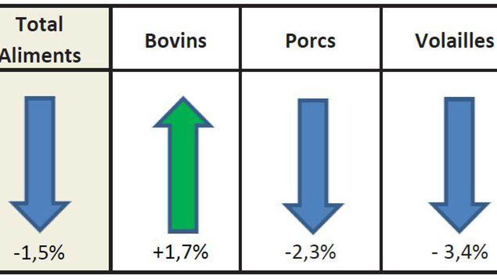 Évolution de la production française d’aliments composés et de mash en décembre 2018 par rapport à décembre 2017. © Coop de France nutrition animale et Snia