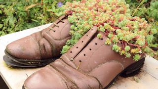 « Passez au vert » : le message de l'édition 2014 a de quoi remporter les suffrages de la profession. Mais comment faire pour rendre le végétal incontournable ? La créativité est un des leviers d'action. Profiter de cet événement pour renforcer le « lobby vert » en est un autre.PHOTO : VALÉRIE VIDRIL – JARDIN 2013 « SAUTE QUI PEUT », DOMAINE DE CHAUMONT-SUR-LOIRE