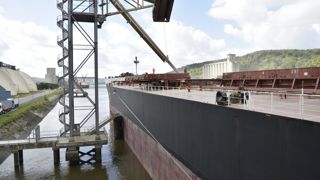 Le renouvellement de l'accord sur le corridor maritime sécurisé en mer Noire a orienté les cours des céréales à la baisse. Le renouvellement de l'accord sur le corridor maritime sécurisé en mer Noire a orienté les cours des céréales à la baisse.