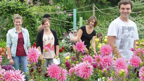 Avec un concours de jardins, des contacts au fil de la saison avec les visiteurs, des responsabilités (depuis la production jusqu'à l'entretien), le site du lycée de Coutances (50) sensibilise et prépare les jeunes en formations horticoles et du paysage sur tous les aspects du fleurissement et des comportements variétaux.PHOTO : GILLES CLOÎTRE